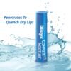 71S52tJ-yvL._SL1500_.jpg Blistex Complete Moisture Lip Protectant 0.15 oz (Pack of 6)