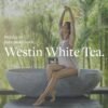 Westin White Tea Aloe Lotion - 8 oz Skin Moisturizer with Signature Scent