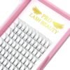 71WJsTLECzL._SL1000_.jpg Premade Fans Eyelash Extensions 5D 3D 7D 8D 10D Short Stem Premade Volume Eyelash Extensions 3D 5D 7D Volume Lash Extensions .07 .10 Pre made Lash Fans C D Curl 9-15 MIX(5D-D-0.10,9-15mm)