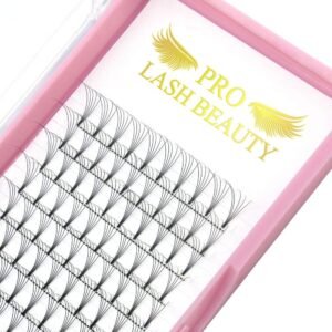 71WJsTLECzL._SL1000_.jpg Premade Fans Eyelash Extensions 5D 3D 7D 8D 10D Short Stem Premade Volume Eyelash Extensions 3D 5D 7D Volume Lash Extensions .07 .10 Pre made Lash Fans C D Curl 9-15 MIX(5D-D-0.10,9-15mm)