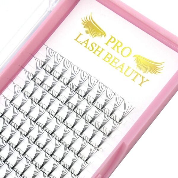 71WJsTLECzL._SL1000_.jpg Premade Fans Eyelash Extensions 5D 3D 7D 8D 10D Short Stem Premade Volume Eyelash Extensions 3D 5D 7D Volume Lash Extensions .07 .10 Pre made Lash Fans C D Curl 9-15 MIX(5D-D-0.10,9-15mm)