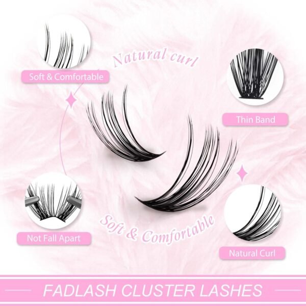 71dDipda2WL._SL1500_.jpg Fadlash DIY Lash Clusters Individual Eyeslash Extensions Volume Lash Clusters Thick Band Wispy Natural Eyelash Extension Large Tray (40D-0.07-D, 8-16mm)