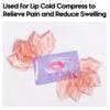 Lip Ice Pack for Cosmetic (10 PCS)，Ice Pack After lip ice treatment, reusable ice pack lip shape ice pack to relieve pain and relax lips, anti-aging lip care ice pack to reduce lip swelling