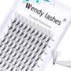 71ez6TrWDML._SL1500_.jpg Premade Fans Eyelash Extensions 5D 6D 7D 8D 10D Volume Lash Extensions 0.07mm Thickness Short Stem heat bonded Premade Fans Russian Volume Pre-fanned Lash Extensions(8D-0.07-D, 8-14mm Mixed Tray)
