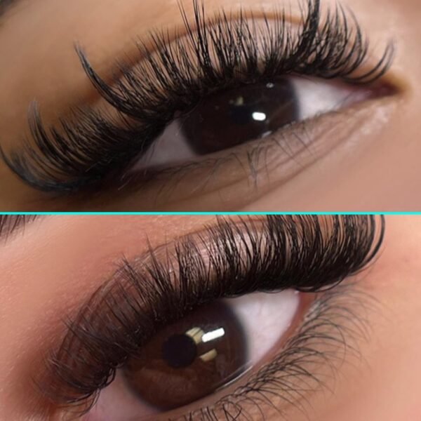 71f1uqOuzSL._SL1500_.jpg VAVALASH Cashmere Easy Fan Lashes 0.03 0.05 0.07 C/CC/D/DD Volume Lash Extensions 8MM-20MM Matte Black Self Fanning Eyelash Extensiones, Professional Supplies for Lash Artists (D-0.05,8-15mm)