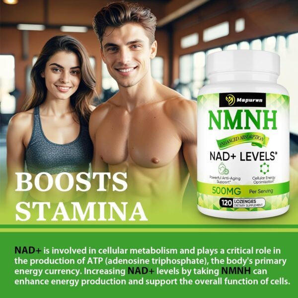 NMNH (Dihydronicotinamide Mononucleotide),NMN Supplement Alternative, 500mg per Serving NAD Supplement to Boost NAD+ Levels As We Age, NMNH for Anti-Aging, Energy, Focus, 120 Count (120 Servings)