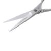 Tweezerman Stainless 2000 Styling Shears, 5.5 - Hair Scissors for Women and Men