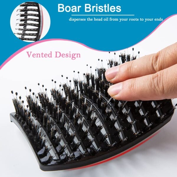 71jGtNcPWZL._SL1000_.jpg Boar Bristle Hair Brush Set - Dry/Wet Hair Brushes Detangler for Fine, Thick, Curly Hair - Curved and Vented Hair Brush for Women, Men or Kids
