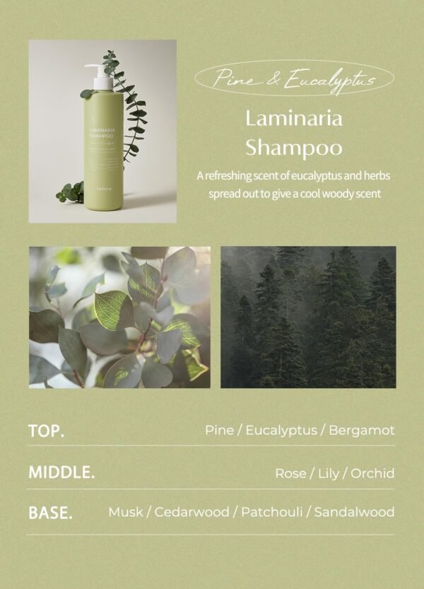Laminaria Shampoo with Organic Ingredient, Korean Clarifying Shampoo, Hydrating for Dry Hair, Strengthening for Weak Hair, Sulfate & Paraben-Free, for Women & Men,16.9 FL. OZ, Pine Eucalyptus