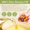 71kJkJKi-1L._SL1500_.jpg Batana Oil for Hair Growth Organics Pure Batana Hair Oil 100% Natural Batana Oil Nourishes Damaged Hair Natural Hair Growth Oil and Conditioner Batana Hair Oil 2.02 Fl Oz