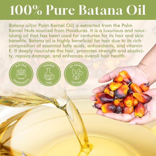 71kJkJKi-1L._SL1500_.jpg Batana Oil for Hair Growth Organics Pure Batana Hair Oil 100% Natural Batana Oil Nourishes Damaged Hair Natural Hair Growth Oil and Conditioner Batana Hair Oil 2.02 Fl Oz