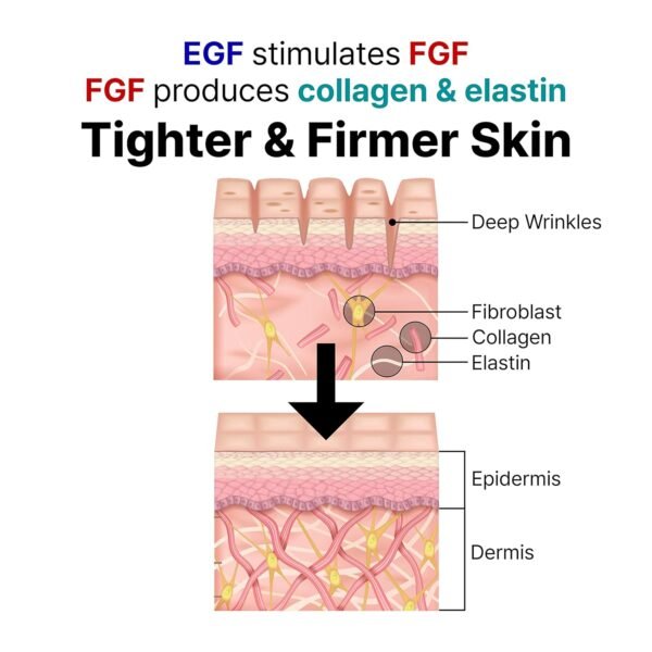 LANBELLE Ultra Lifting EGF FGF 10 ppm Ampoule Serum w/Centella Asiatica Hyaluronic Acids | Improves Skin Balance Elasticity Reduces Fine Lines Blemish Spots Hydrating Korean Skincare