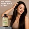 Botanic Hearth Castor Oil | 100% Pure & Natural, Cold Pressed | 2 Fl Oz (60 Ml) | For Hair, Eyelashes & Eyebrows | Hexane Free, Fast Absorbing | With Applicators & Dropper