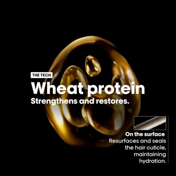 L'Oréal Professionnel Paris Absolut Repair 10-in-1 Oil – Nourishing Multi-Benefit Oil For Dry & Damaged Hair, Repairs Hair and Provides Shine