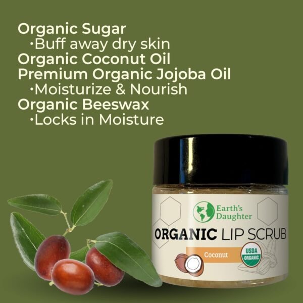 71nwBrNlFwL._SL1500_.jpg Earth's Daughter Organic Coconut Lip Scrub 0.7 oz - USDA Organic, Fair Trade, Sugar, Jojoba Oil, Beeswax, Coconut Oil, Calendula Extract