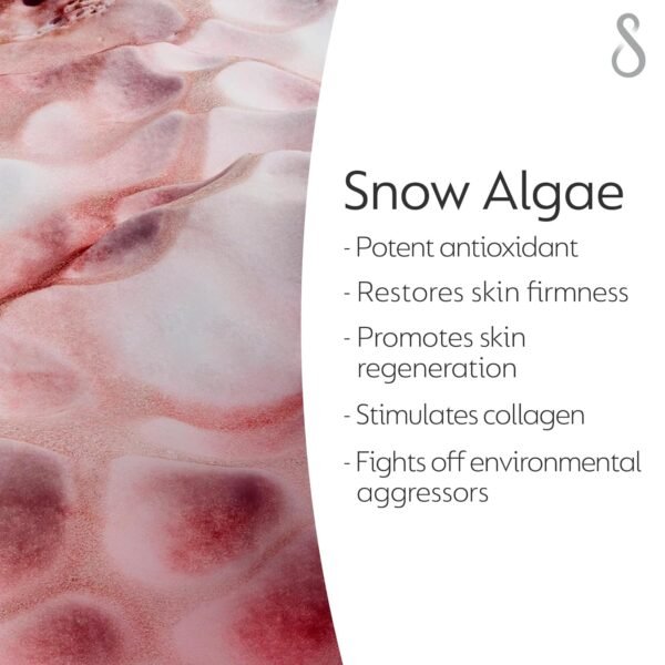 71p7UeF9lhL._SL1500_.jpg Anti Age Elasticity Boosting Serum, 30 Ml, Instant Hydration & Collagen Boosting, Reduce Fine Lines & Wrinkles, Enriched With Snow Algae & Alpine Glacier Water For All Skin Types White