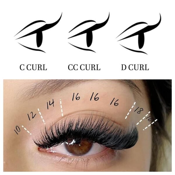 71p7bNVd22L._SL1500_.jpg VEYES INC Easy Fan Volume Lash Extensions 03 05 07 J/B/L/C/CC/D/DD Curl 8-25mm Mixed & Single Length Tray, Matte Black Self Fanning Eyelashes, Professional Supplies for Lash Techs (0.03 D 8-16mm)
