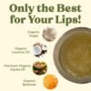 71pWUONJDsL._SL1500_.jpg Earth's Daughter Organic Coconut Lip Scrub 0.7 oz - USDA Organic, Fair Trade, Sugar, Jojoba Oil, Beeswax, Coconut Oil, Calendula Extract
