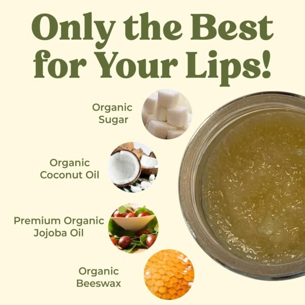 71pWUONJDsL._SL1500_.jpg Earth's Daughter Organic Coconut Lip Scrub 0.7 oz - USDA Organic, Fair Trade, Sugar, Jojoba Oil, Beeswax, Coconut Oil, Calendula Extract