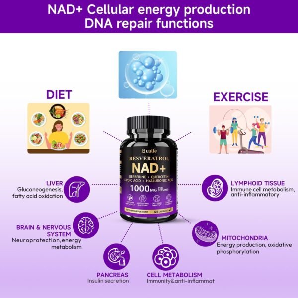 NAD Supplement, Liposomal NAD Resveratrol Supplement Contains Berberine , Alpha Lipoic Acid ,Hyaluronic Acid & Quercetin - Support Anti-Aging, Longevity, Cellular Energy, NMN Alternative -120 Capsules