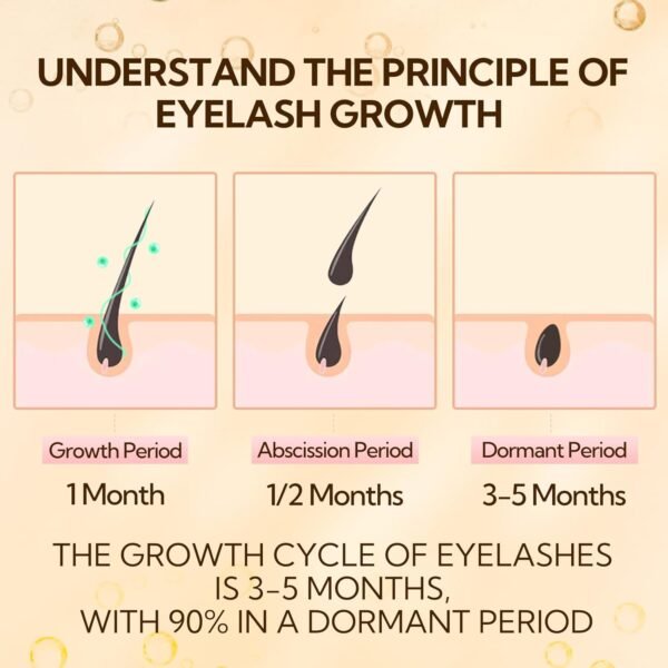 LANBENA Eyelash Growth Serum, Advanced Eyelash Treatment (Eyelash Growth Serum - A)