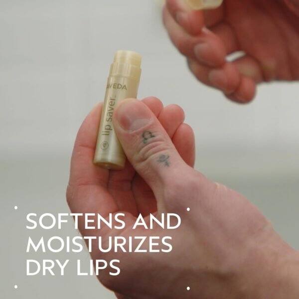 71sER-LPcAL._SL1500_.jpg Aveda Lip Saver Soothing Lip Balm | Moisturizing Lip Balm with Naturally Derived* Cinnamon, Clove, Anise Oil