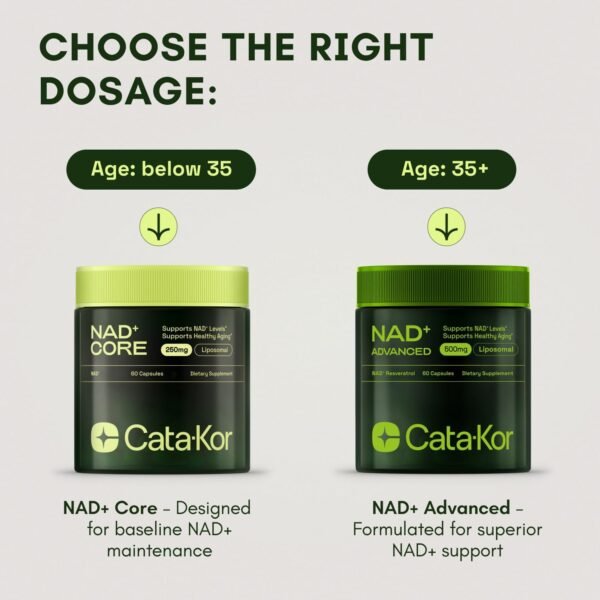 NMNH Supplement Alternative – Liposomal NAD + Resveratrol – High Purity NAD Supplement for Energy, Focus & Anti-Aging – 60 Capsules