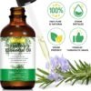 71sNJpyU8ZL._SL1500_.jpg 2 Pack Organic Rosemary Oil for Hair Growth,100% Pure Rosemary Essential Oil for Eyebrow and Eyelash Nourishes The Scalp