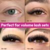 71sWFWJ8E0L._SL1500_.jpg 500 Promade Fans - 5D 0.07 Size 11mm Curl CC - Volume Premade Lash Fans for Eyelash Extensions Middle Stem Handmade Loose Pre Made Eyelash Fluffy Soft Pointy Base