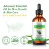 71tgUSv8L._SL1500_.jpg Rosemary Oil for Skin Care & Stimulates Hair Growth for Men Women -120ml 100% Pure Rosemary Essential Oil for Eyebrow and Eyelash, Nourishes The Scalp