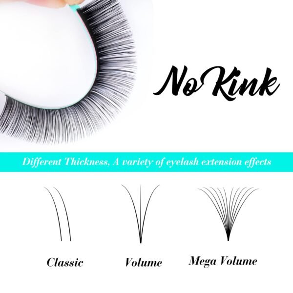 Eyelash Extensions 0.05 D Curl 13mm Lash Extensions Supplies Individual Lashes Premium Silk Volume & Classic Lash Soft Matte Dark Professional Eyelashes Extension (0.05-D-13mm)