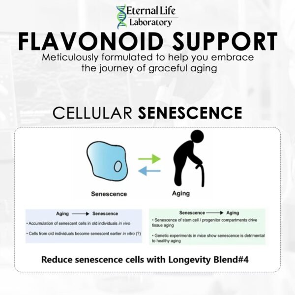 Quercitin, Rhodiola Rosea, Luteolin and Rutin Longevity Blend #4 Anti-Aging Supplement for Cellular Defense with Immunity and Energy Support, Antioxidants