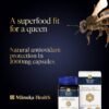 Manuka Health Royal Jelly Capsules, 1000mg NET - 180 Count (3-Month Supply) - Traditional Anti Aging Supplement from New Zealand