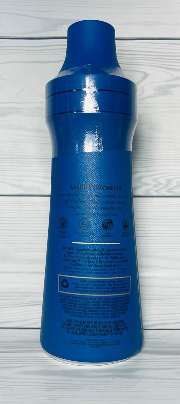 Bath & Body Works Ocean Fabric Care Fragrance Laundry Detergent