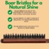 8185Kr9eNL._SL1500_.jpg GranNaturals Teasing Boar Bristle Hair Brush for Women - Slick Back Comb with Rat Tail Pick for Hair Sectioning Used for Edge Control, Backcombing, Smoothing, and Styling Fine Hair to Create Volume