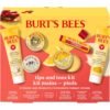 81owXT-1nL._SL1500_.jpg Burt's Bees Gifts Ideas, Tips and Toes Kit, 6 Travel Size Products - Pomegranate Moisturizing Lip Balm, 2 Hand Creams, Foot Cream, Cuticle Cream, and Hand Salve