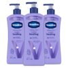 Vaseline Intensive Care Calm Healing Body Lotion 3 count for Dry Skin Made with Ultra-Hydrating Lipids and Lavender Extract to Heal and Restore Dry Skin 20.3 oz