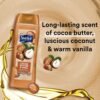 Suave Moisturizing Body Wash, Cocoa Butter and Shea with Vitamin E Extract, No Parabens, No Phtahaltes, 18 Oz Pack of 6