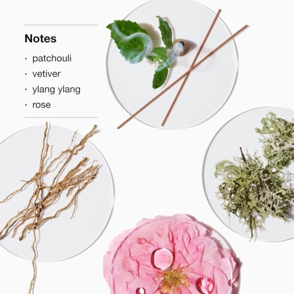 Clinique Aromatics Elixir Body Smoother Lotion | Notes of Patchouli, Vetiver, Ylang Ylang + Rose, 6.7 Fl Oz