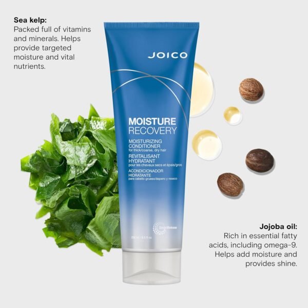 Joico Moisture Recovery Moisturizing Conditioner | For Thick, Coarse, Dry Hair | Replenish Moisture | Restore Smoothness & Elasticity | Strengthen & Reduce Breakage | With Jojoba Oil & Shea Butter