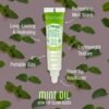 8177n6mBtQL._SL1500_.jpg Ruby Kisses Broadway Vita-Lip Clear Lip Gloss (Mint Oil 3 Pack), Ultra-Hydrating & Soothing Formula with Vitamin Oils, High-Shine Non-Sticky Finish, Nourishing Glossy Lip Balm With Cooling Effect
