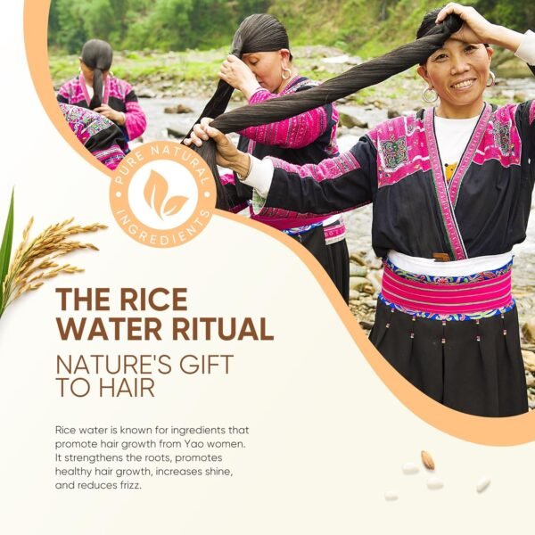 Rice Water Hair Growth Conditioner - Thickening Conditioner with Biotin for Hair Loss and Thinning Hair - Sulfate Free for Women and Men 10 Fl Oz (Pack of 1)