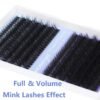 Geeneiya Eyelash Clusters Full Lash Extension Mink Thick Cluster Eyelash Extensions 10-18MM Cluster Lashes Individual Wispy Fake Eyelashes, Not Kit (60D+80D, 280Pcs)