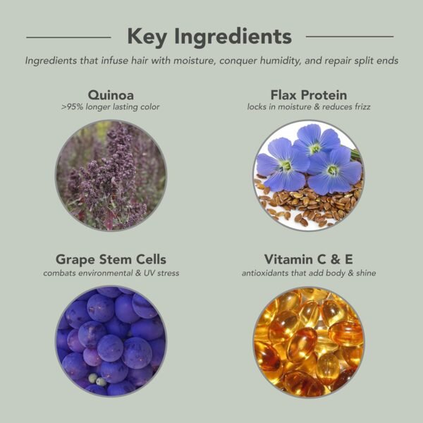 Framesi Color Lover Stop Frizz, 3.4 fl oz, Anti-Humidity Serum and Split End Repair, Color Treated Hair, Travel Size