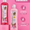 Onion Biotin and Rosemary Shampoo & Treatment Set for Stronger, Thicker and Longer Hair - Soft and Shine, Hair Loss and Thinning Hair, Growth Shampoo, Paraben Free, Silicone Free
