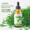 100% Pure Rosemary Essential Oil for Skin Care & Stimulates Hair Growth for Men Women -60ml, Nourishes The Scalp, , Versatile Usage for Eyebrow and Eyelash
