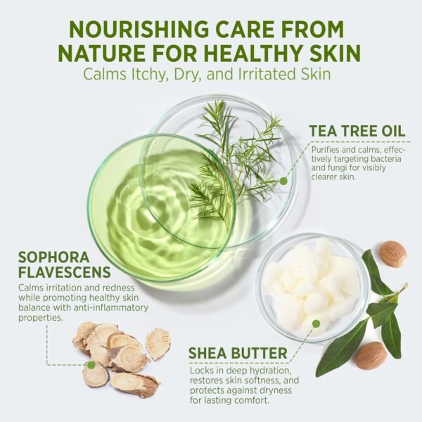 Antifungal Body Wash & Soap, Tea Tree Body Wash, Antibacterial Body Wash & Soap, Back Acne Body Wash, Natural Body Wash With Tea Tree Oil For Jock Itch, Back Acne, Athletes Foot, Body Odor, Nail Fungus, Ringworm, & Eczema - 16.9 Fl Oz