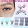81MBvjCyYJL._SL1500_.jpg Lash Clusters Wispy Eyelash Clusters Natural CC-Curly Cluster Lashes zanlufly Wispy Individual Lashes 180Pcs Eyelash Extension 10 12 14MM DIY Lash Extension