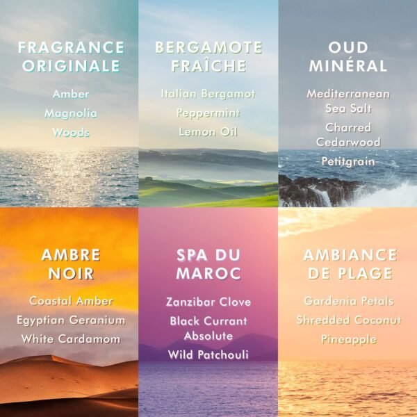 Moroccanoil Shower Gel Body Wash