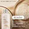 81NjpR3qx1L._SL1500_.jpg The Face Shop Rice Ceramide Moisturizing Emulsion - Rice Extract - Lightweight Face Moisturizer - Brightening - Hydrating Targets Dryness - Strengthens Skin Barrier - Face Lotion - Korean Skin Care